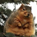 헤카림PC방 이미지