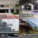 디엠할인마트