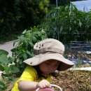 광탄농장 이미지