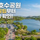 고양 일산 호수공원 가로수길 | 일산호수공원 나들이 후기 및 꿀팁 방출!