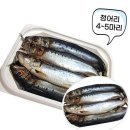 싱싱낚시