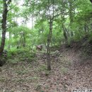 고비고개로 이미지