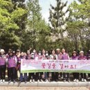 성주동주민센터 네이버블로그