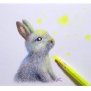함께 그리는 색연필 일러스트 | 상시예약가능] 지구색연필 손그림 클래스 특별한 취미...디저트,식물 등 일상 일러스트 그림 그리기...