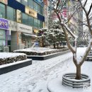던킨도너츠영통 이미지
