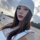 제노젠 이미지