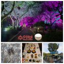 수안보토산품