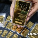 골드인사이트 이미지