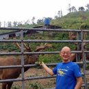 사슴자연방목장 이미지