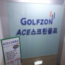 Ace골프스크린 이미지