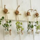 수남초등학교 이미지