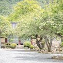 무지개다리화장실 이미지