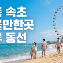 청호기획 | 여름 속초 여행 준비, 야간개장 일정부터 바다향기로 통제·주차까지 헛걸음 막는 실전 체크