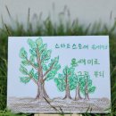 피누스스토어온새미로 이미지