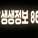 선애수산