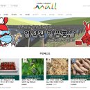 홍라이브