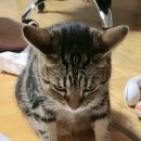 안테룸 서울 이미지