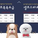 러브애견 이미지