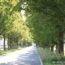 본량동 행정복지센터 이미지