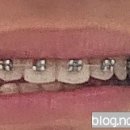 가지런이치과교정과치과의원 이미지