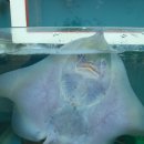 서민회센타