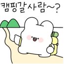 바다랑민박;캠핑장 이미지