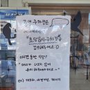 카페 꼬미꼬미 | [강릉]강릉 애견동반 맛집｜나상명초당순두부 꼬미와함께 방문 후기