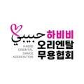 밸리댄스하비비케이