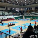 금광태권도 이미지