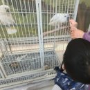 청주 실내동물원 데이트 버드앤쥬 동물체험