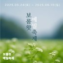 보롬왓 메밀축제 (6월 제주도) 기본정보