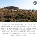 디에스와이