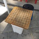 장군멍군 장기 세계일보