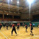 보성 다향체육관 이미지