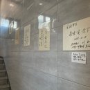[일상] 겨울 제철 대구탕 맛집 용원시장에 위치한 김해횟집 방문 후기(feat.대통령 + 이재용(재드래곤...
