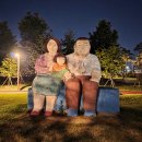 고복자연공원 야생초화원 | 세종낙화축제] 밤하늘을 수놓은 불꽃의 향연, 세종호수공원에서 만난 전통의 감동 (주차/명당/먹거리 꿀팁)