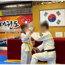 사랑태권도 이미지