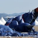 한국공항공사무안공항 이미지
