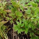 명이농장 이미지