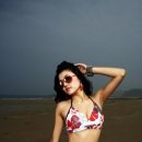 고다미 카카오 검색결과