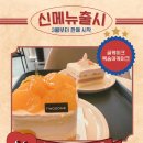 강진 아트홀 | [전라남도] 강진 투썸플레이스