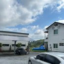 골드미펜션 | 아이 동반 대가족 여행 숙소, 10인 숙박 가능한 단양 골드미펜션 후기