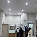 신안국민체육센터 복지회관 | 제주도 50m 레인 자유수영 서귀포 제주혁신도시복합혁신센터 혁신 수영장 후기