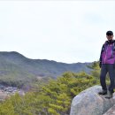 팔공산 둘레길 2구간 이미지