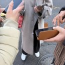 정기코스 | 관악산 정기 받으러,, 쉽다고 알려진 서울대 코스 후기와 초켜기