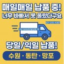 드림디포화성