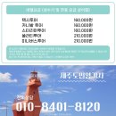 일정 | 제주도 스타리아 대절 일정 후기, 숨은 명소까지 알차게