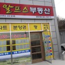 알프스공인중개사사무소 이미지