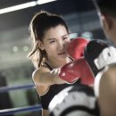 엘리트 복싱 Gym 이미지
