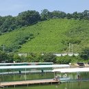 와우행정사사무소 이미지